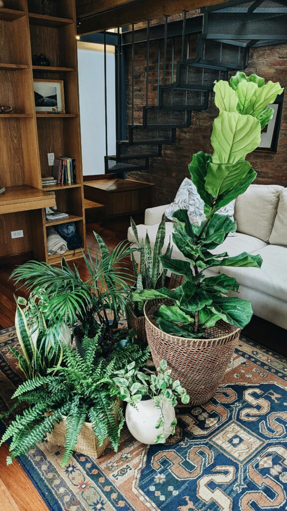 12 Plantas Ideais Para Ambientes Internos: Guia Completo Para Trazer Mais Natureza Para Dentro de Casa