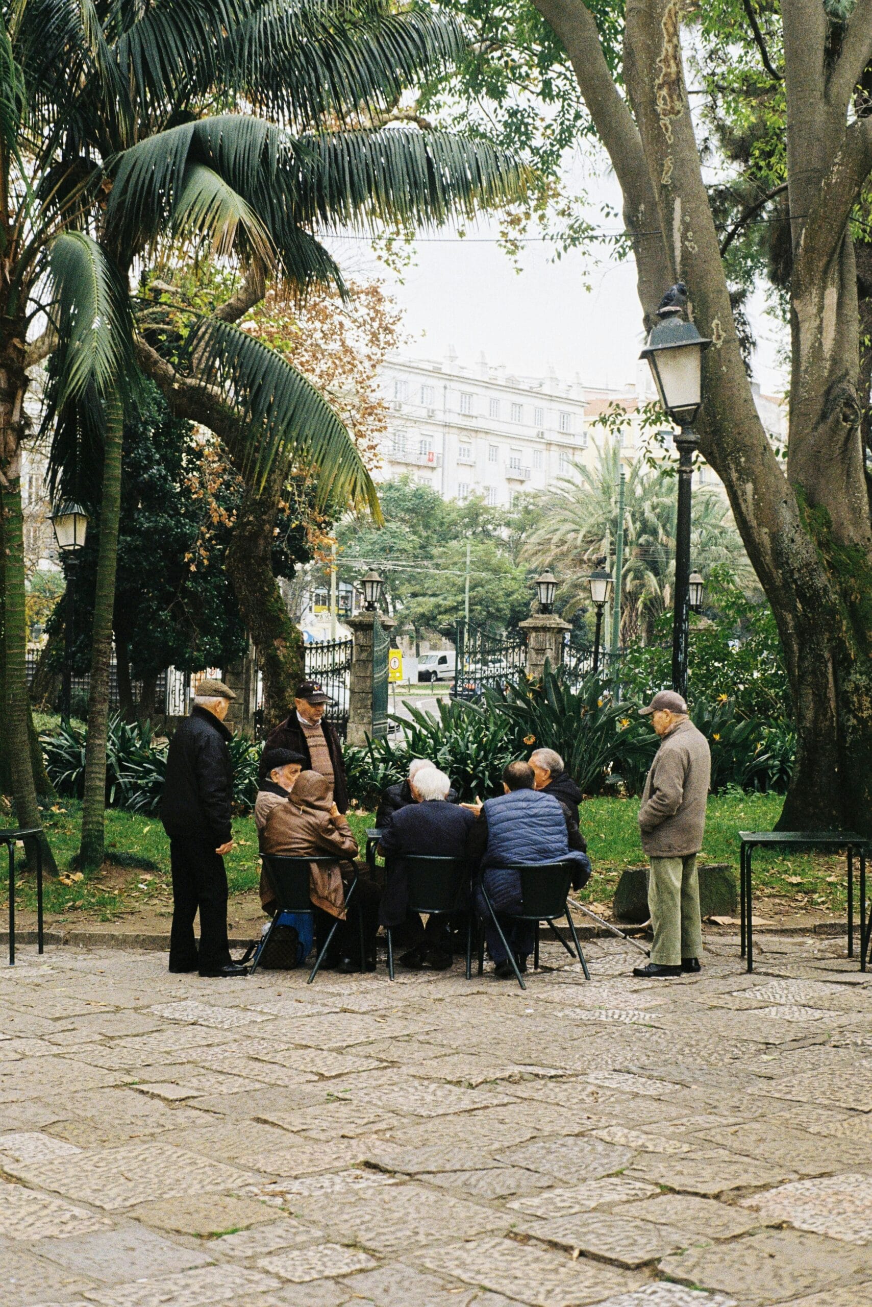 Idosos jogando cartas em ambiente acolhedor com plantas e luz natural