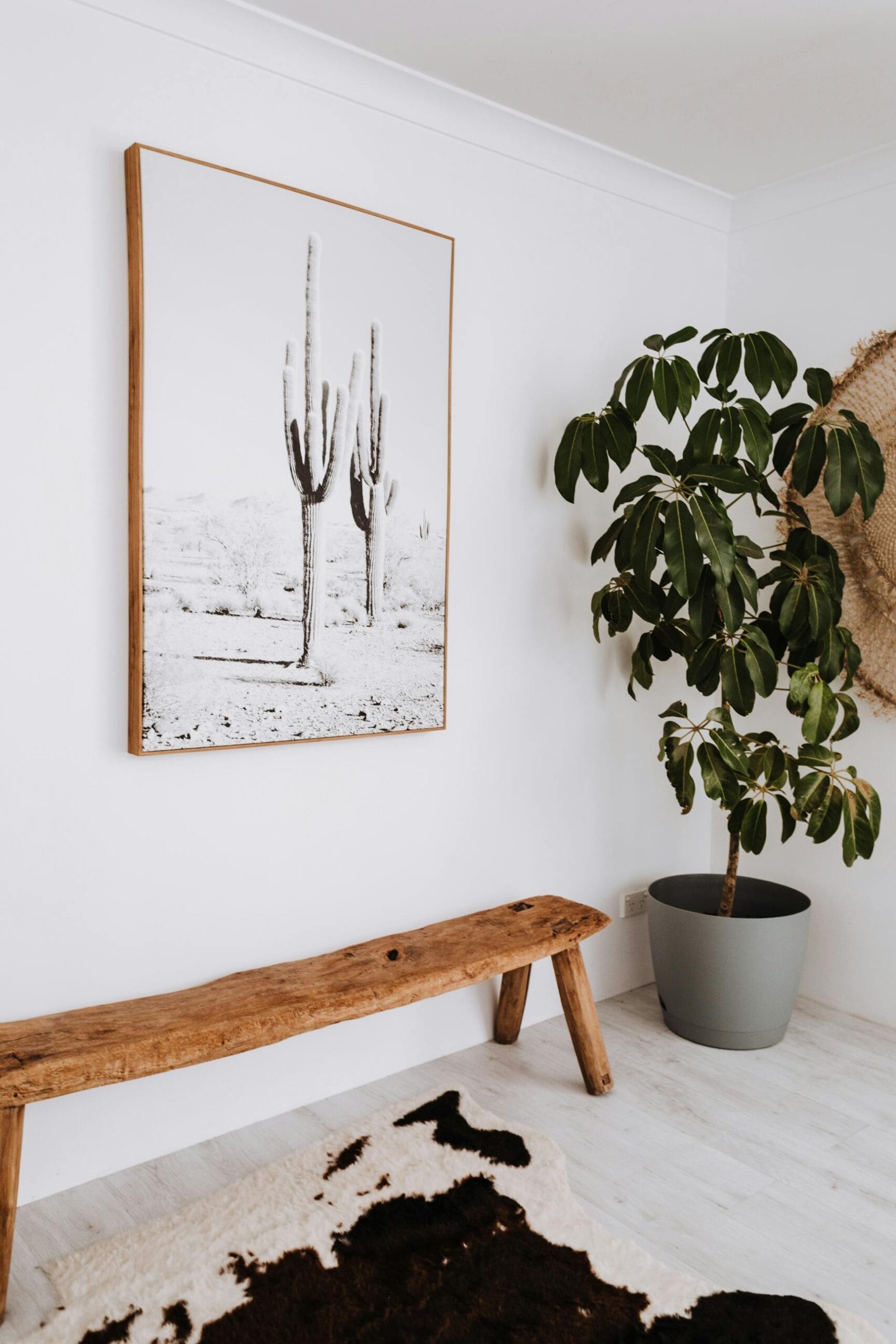 Banco com plantas ilustrando pequena mudança que traz natureza para dentro de casa