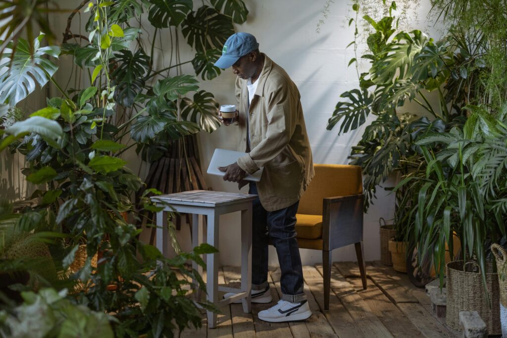 Plantas Ideais Para Ambientes Internos