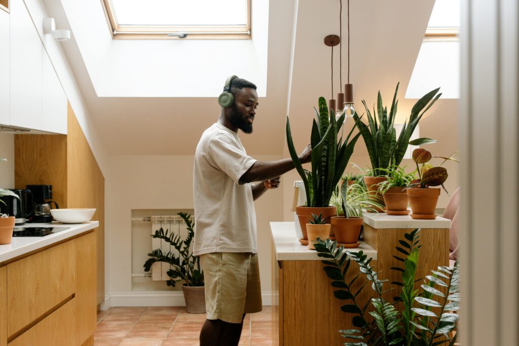 Como as plantas melhoram a qualidade do ar?