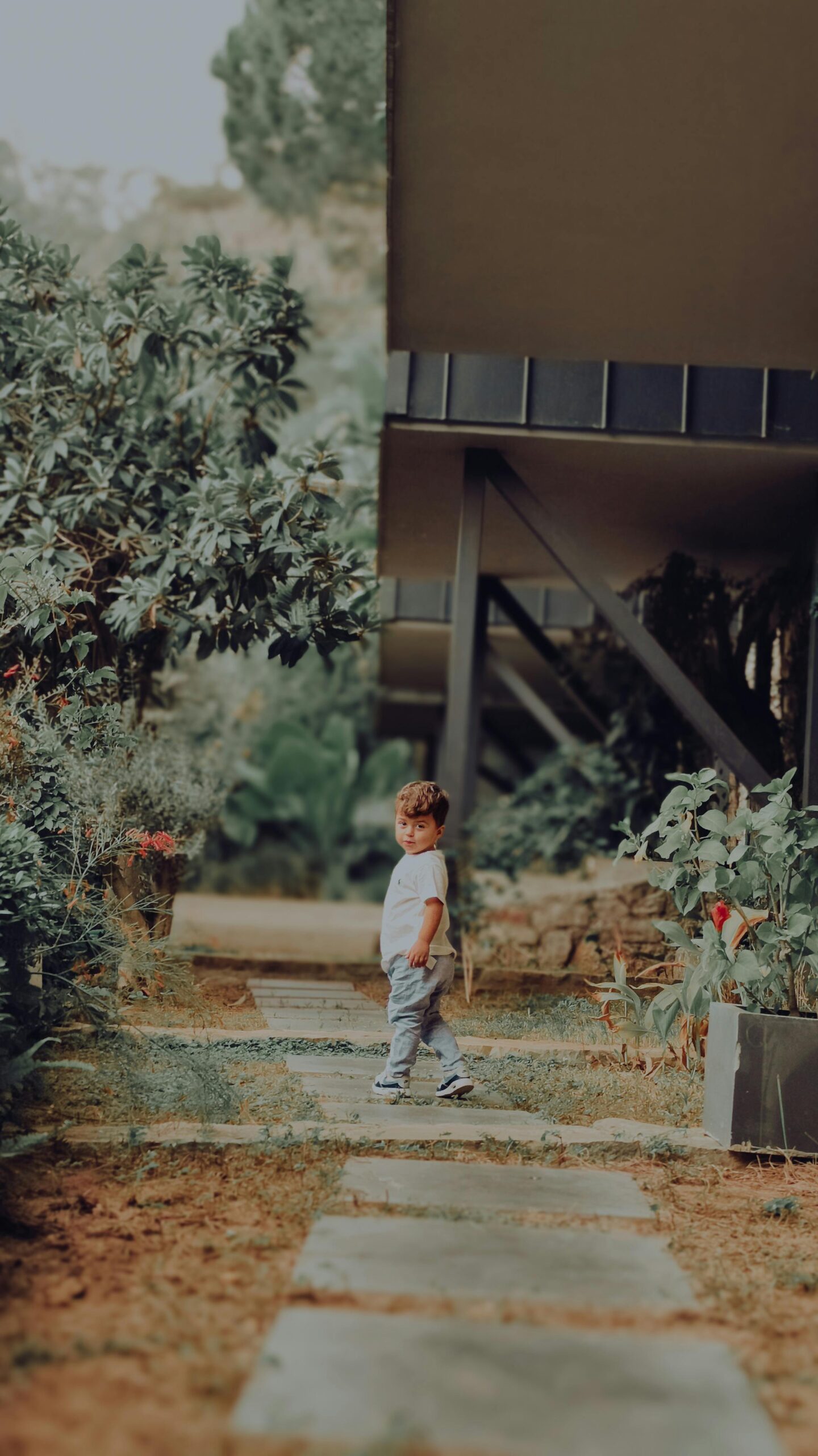 Biofilia em Escolas: Como Ambientes Naturais Transformam o Aprendizado, o Comportamento e o Bem-Estar dos Alunos