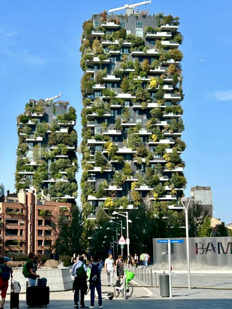 Biofilia em espaços públicos e urbanos: cidades mais humanas e sustentáveis