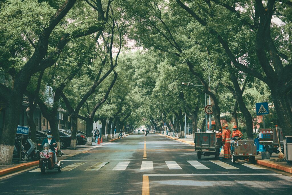 Biofilia em espaços públicos e urbanos: cidades mais humanas e sustentáveis