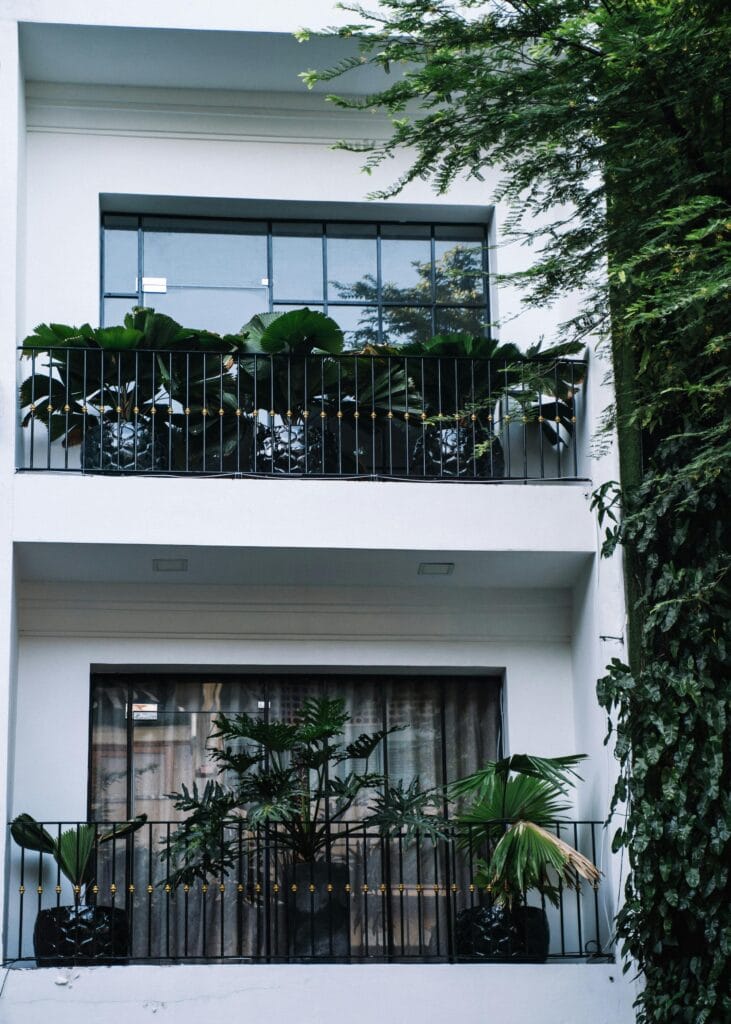 10 Ideias de Design Biofílico para Transformar Seu Apartamento
