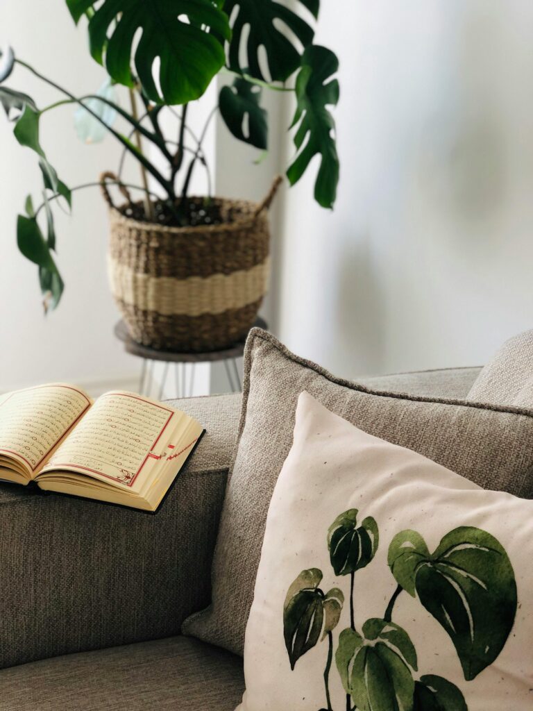 Plantas, Luz Natural e Materiais Naturais: