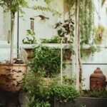 Entenda os Fundamentos Científicos da Biofilia