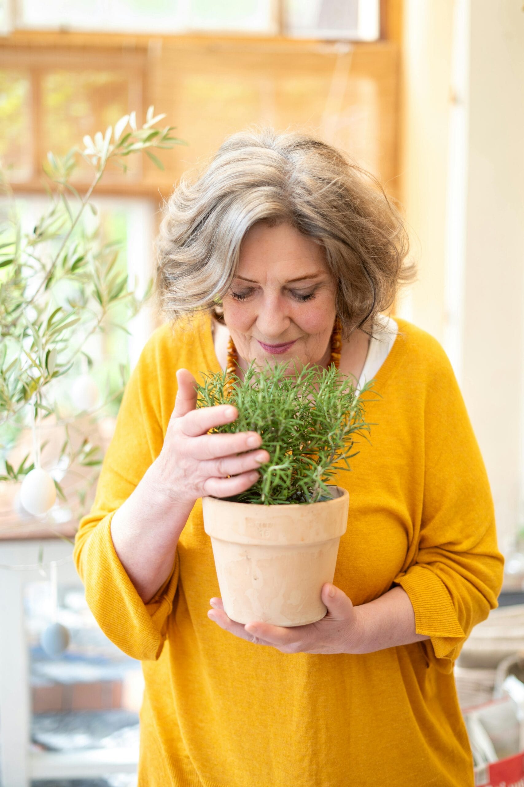 Lavanda em vaso, planta associada à calma em um jardim em homenagem a quem faleceu