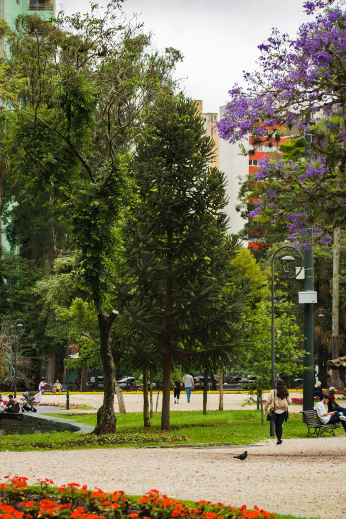 BENEFÍCIOS DA BIOFILIA PARA A SAÚDE MENTAL