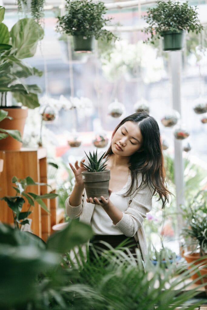 Entenda os Fundamentos Científicos da Biofilia e Como Usar a Natureza a Seu Favor