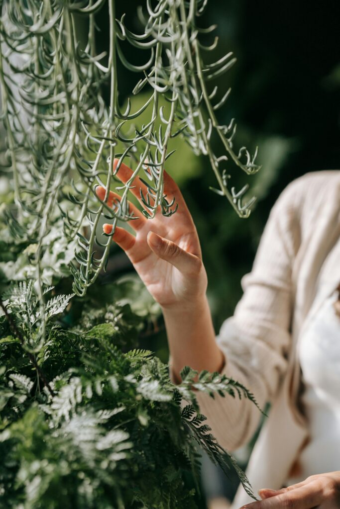 Conexão natural: por que o ser humano precisa da natureza para viver melhor