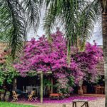 Jardim biofílico com plantas e paisagismo terapêutico