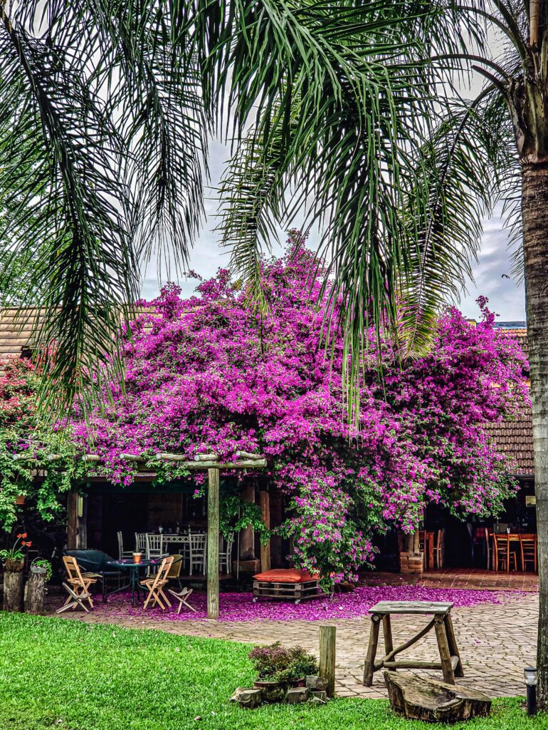 Jardim biofílico com plantas e paisagismo terapêutico