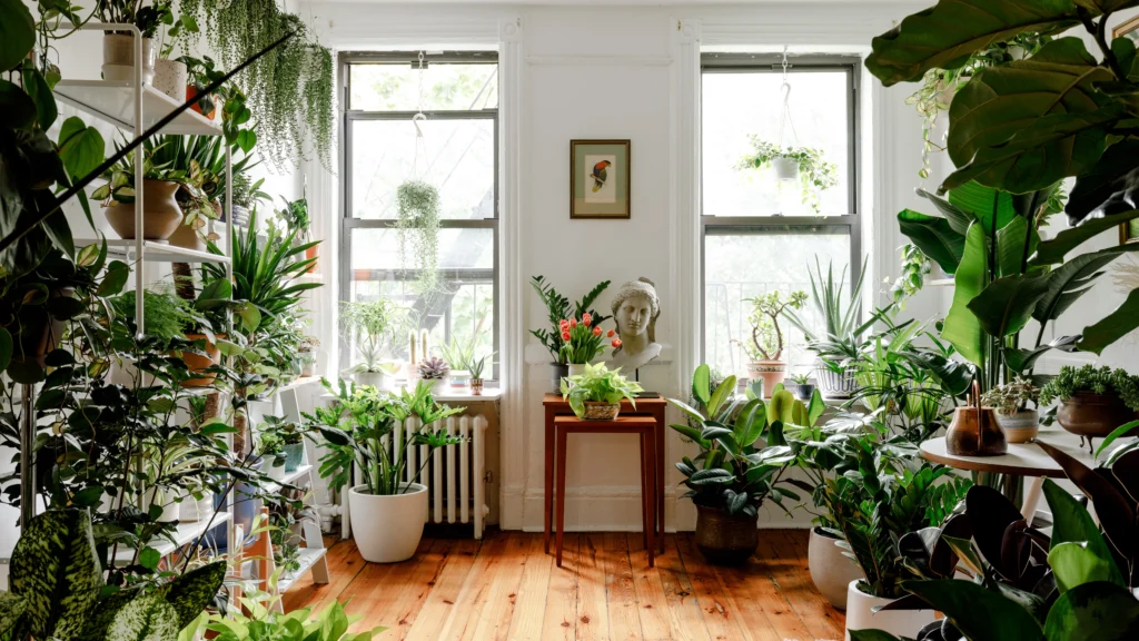 Mente e Coração em Harmonia com a Natureza