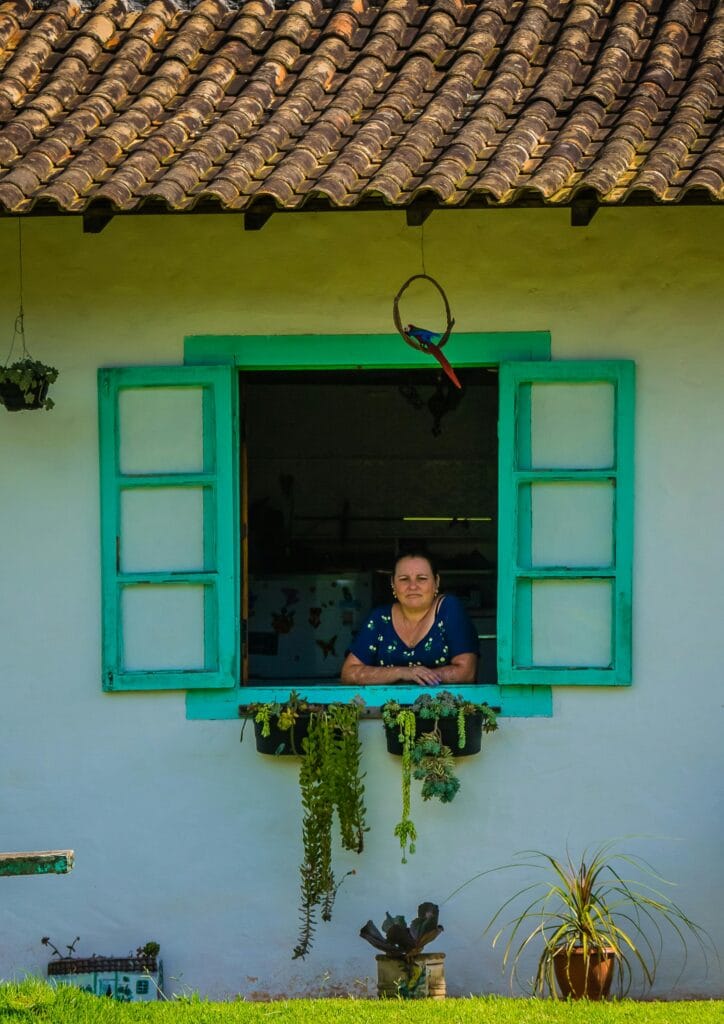 Benefícios da Biofilia para a Saúde Mental