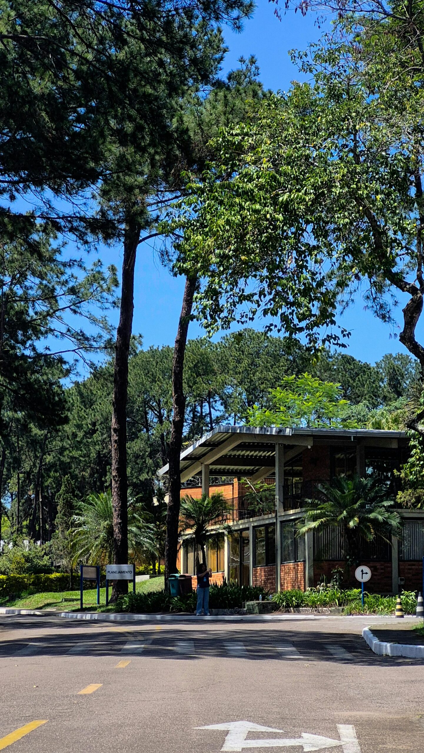Neuroarquitetura e Biofilia: Como Sua Casa Afeta Seu Humor, Sono e Bem-Estar.