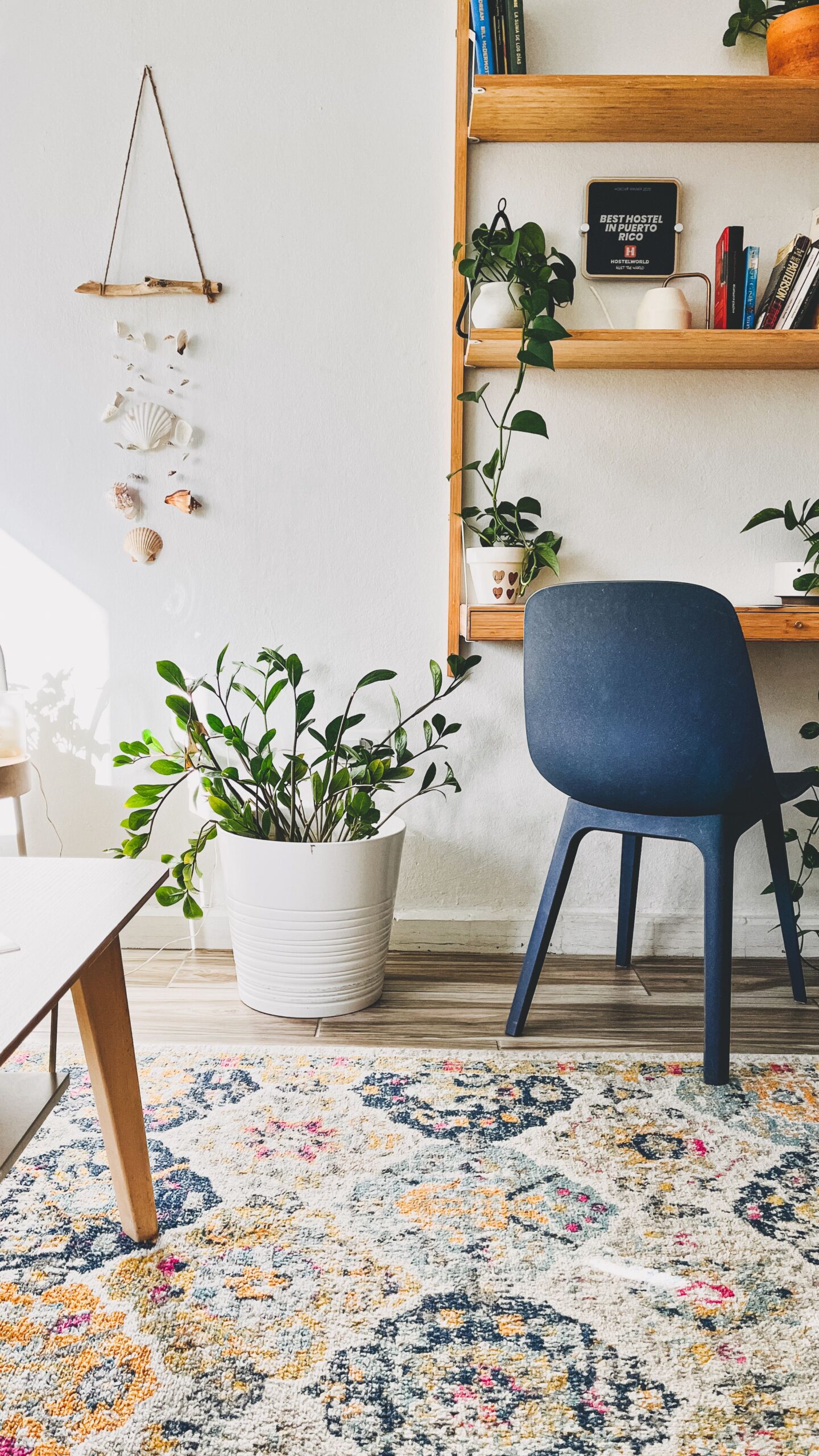 Sala decorada com plantas em diferentes alturas, como decorar sala com plantas sem gastar muito de forma pratica