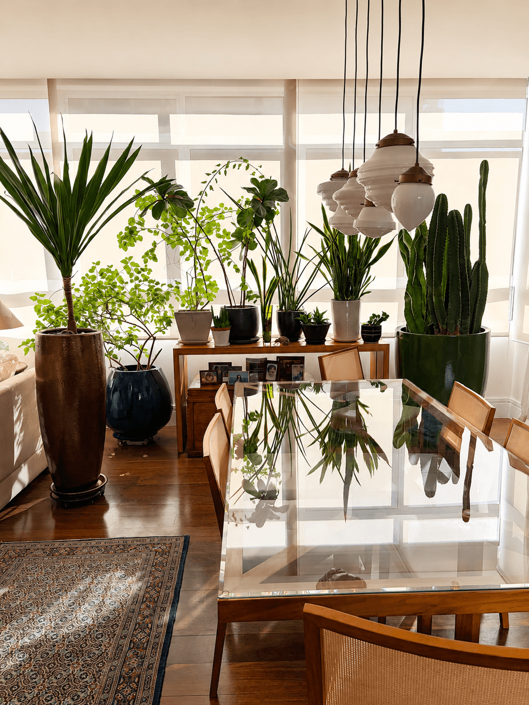 Sala clara com aparador cheio de plantas, como decorar sala com plantas sem gastar muito em ambiente biofílico