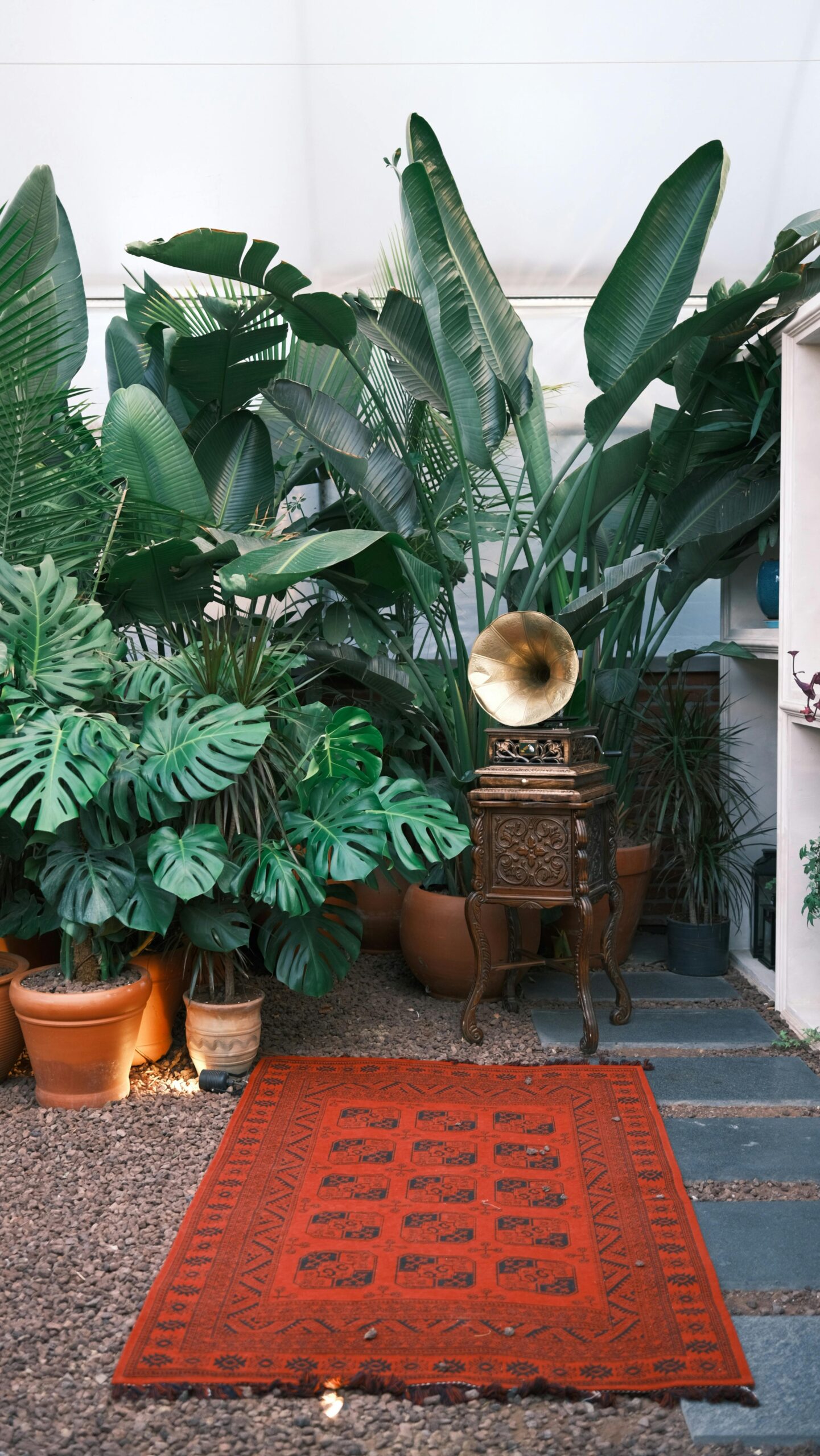 Plantas para Dentro de Casa: O Guia Completo para Transformar Seu Lar com Natureza