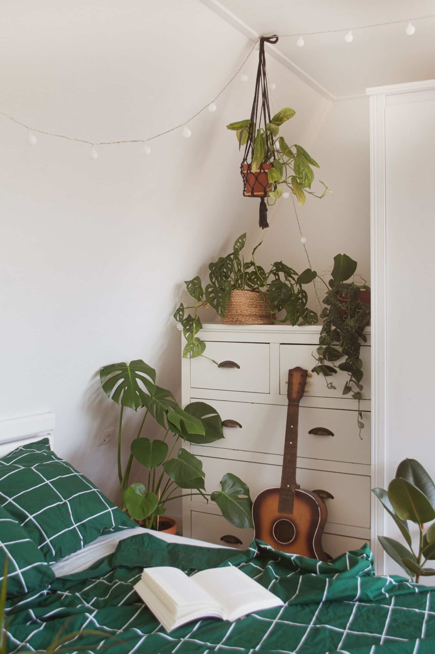 O quarto não é só onde você dorme. É onde você se recupera, se reconecta e recomeça. Quando a natureza entra nesse espaço, tudo muda — o sono, o humor, a energia do dia seguinte. 🌿 Isso é biofilia no lar.