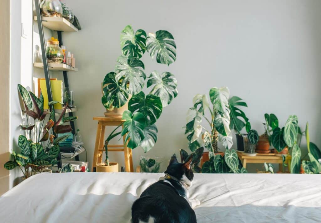 Sabia que dormir rodeada de natureza reduz o cortisol e melhora a qualidade do sono? 🌱 O quarto biofílico usa plantas, luz natural, madeira e texturas orgânicas para criar um ambiente que cuida de você enquanto você descansa.