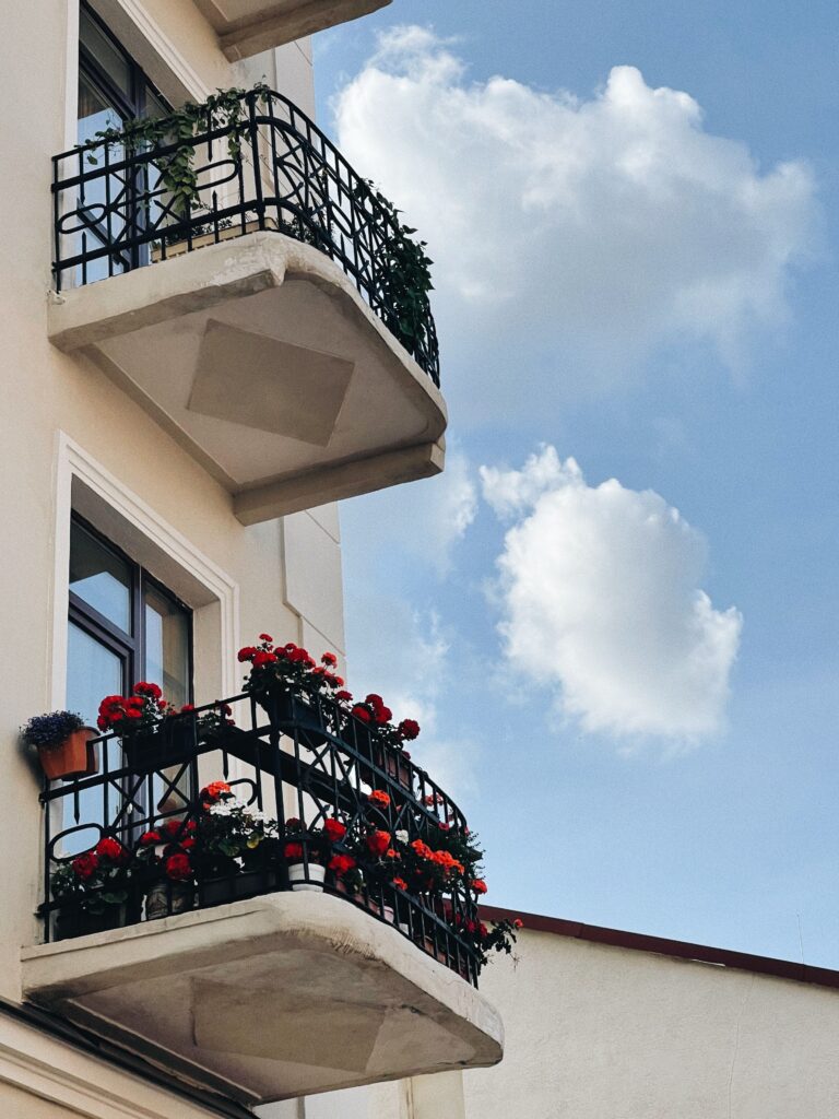vasinhos de flores Gerânios coloridos em janela ensolarada