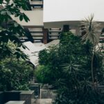 Área de ventilação entre prédios com muitas plantas