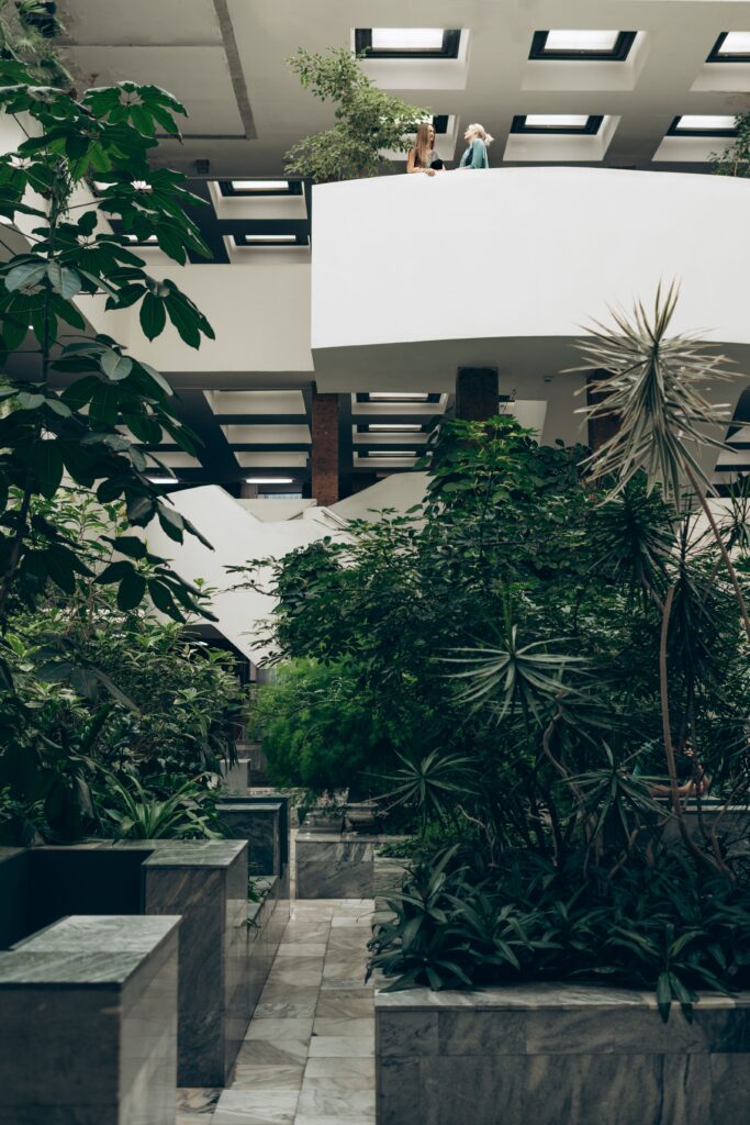 Área de ventilação entre prédios com muitas plantas