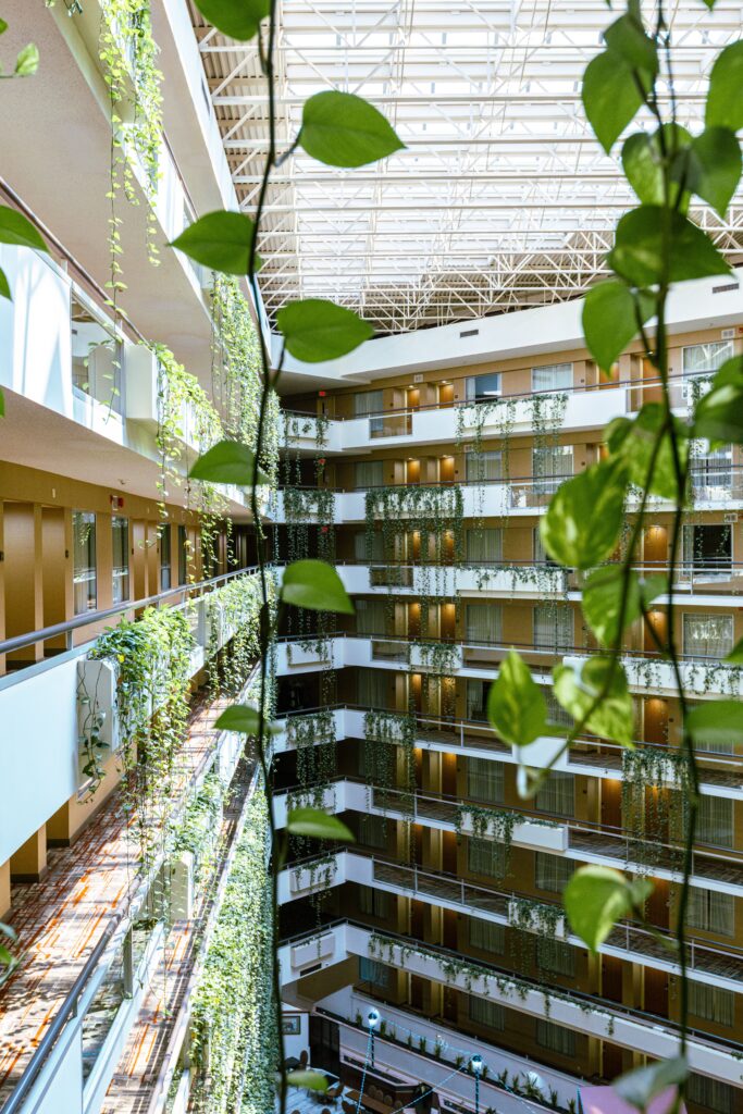 Área de ventilação entyre prédios altos com plantas
