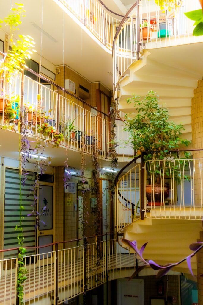 Área de luz entre escadas com plantas