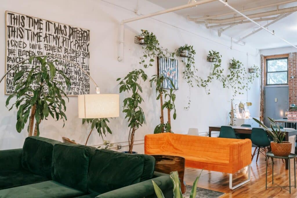 Sala de estar acolhedora com plantas e luz natural, referencia visual do comparativo entre biofilia e biomimetismo