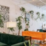 Sala de estar acolhedora com plantas e luz natural, referencia visual do comparativo entre biofilia e biomimetismo