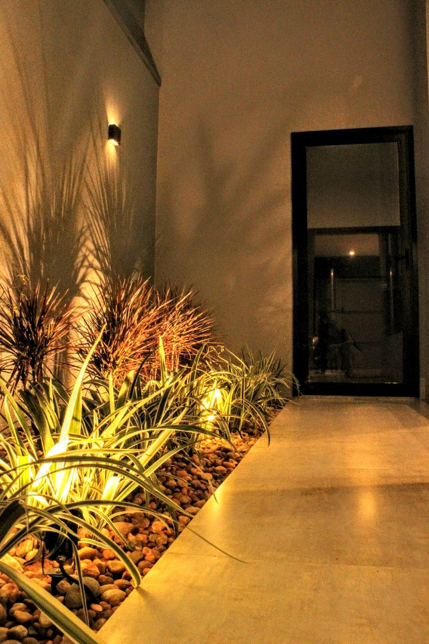 corredor com plantas iluminado à noite, com espelho grande, luz quente e sombra de folhagem na parede