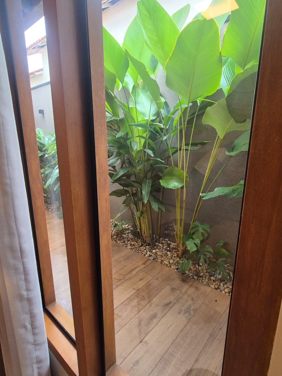 corredor com plantas de Maranta-charuto visto de dentro da sala pela porta de vidro com esquadria de madeira