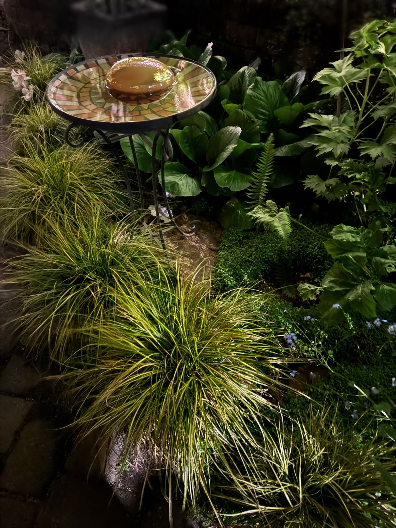 Canto de jardim com gramíneas ornamentais e bebedouro de pássaros decorativo