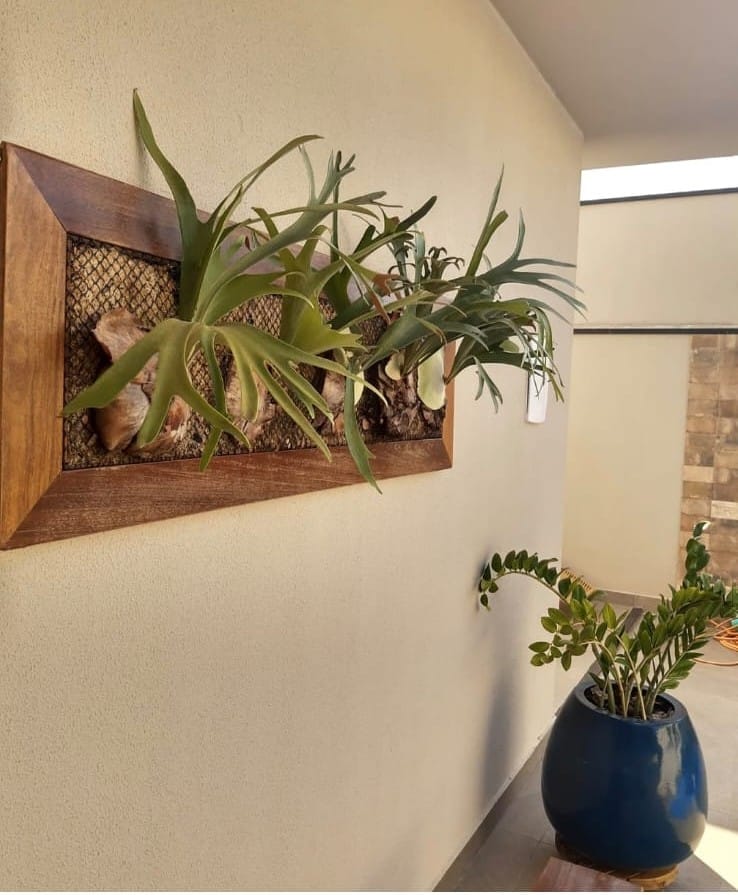 Jardim vertical com samambaia e vaso em corredor de apartamento pequeno