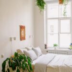 Plantas no quarto faz mal: quarto com Lírio-da-Paz e Jiboia mostra que não