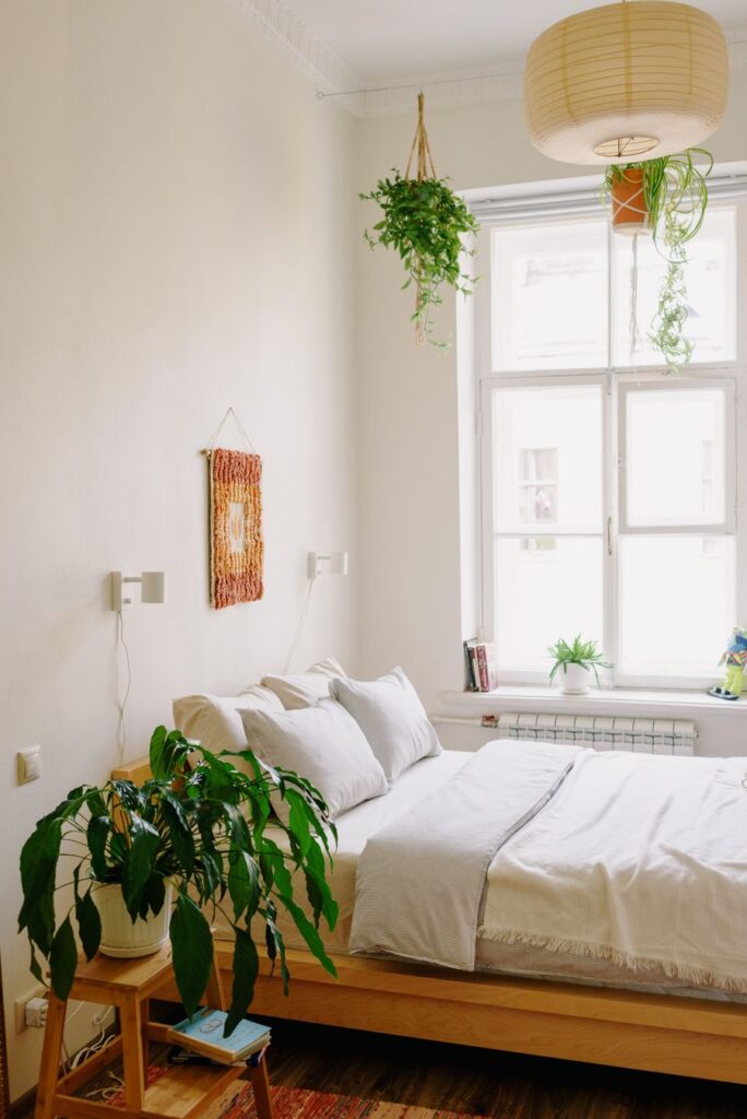 Plantas no quarto faz mal: quarto com Lírio-da-Paz e Jiboia mostra que não