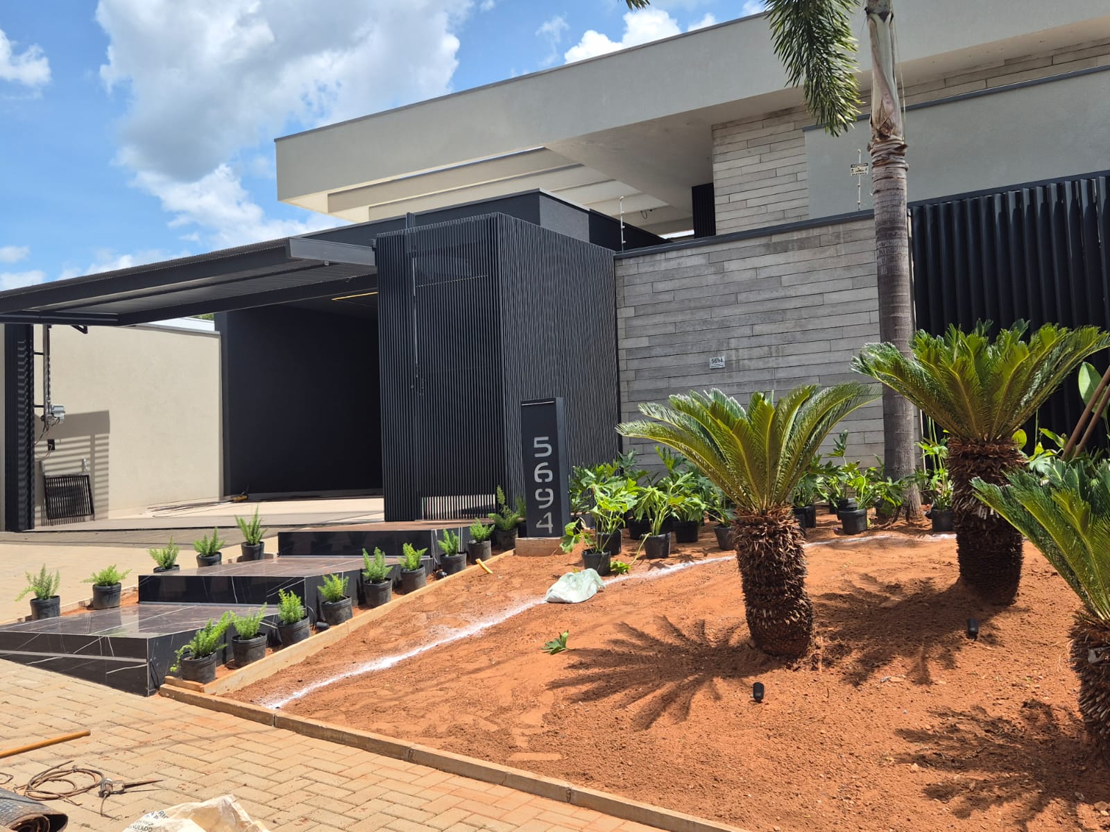 Jardim de entrada sendo reorganizado, aproveitando palmeiras e plantas que a família já tinha