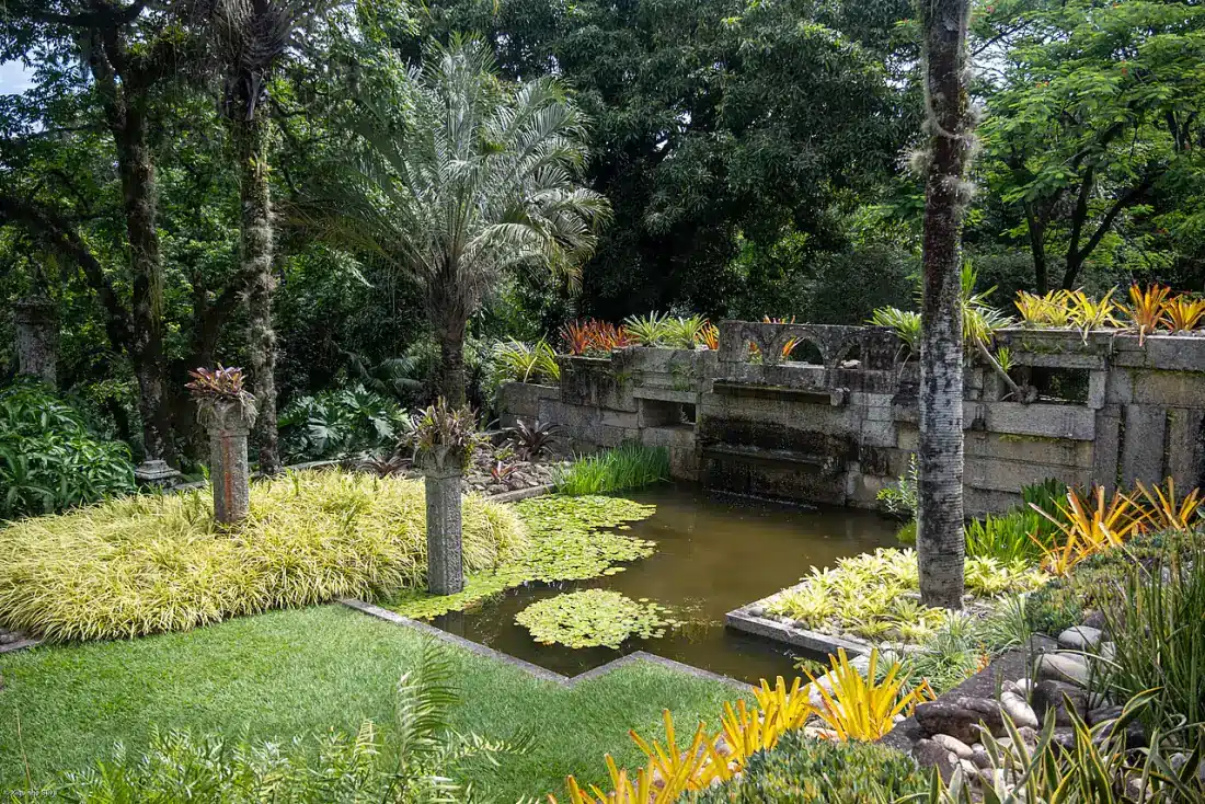 Jardim com plantas nativas brasileiras, Bromélias e espelho d'água no Sítio Roberto Burle Marx