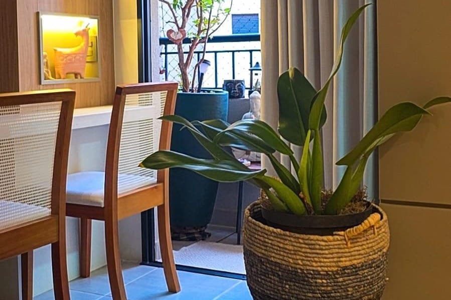 Checklist de biofilia: sala com luz natural entrando pela porta de vidro e planta em cesto de fibra