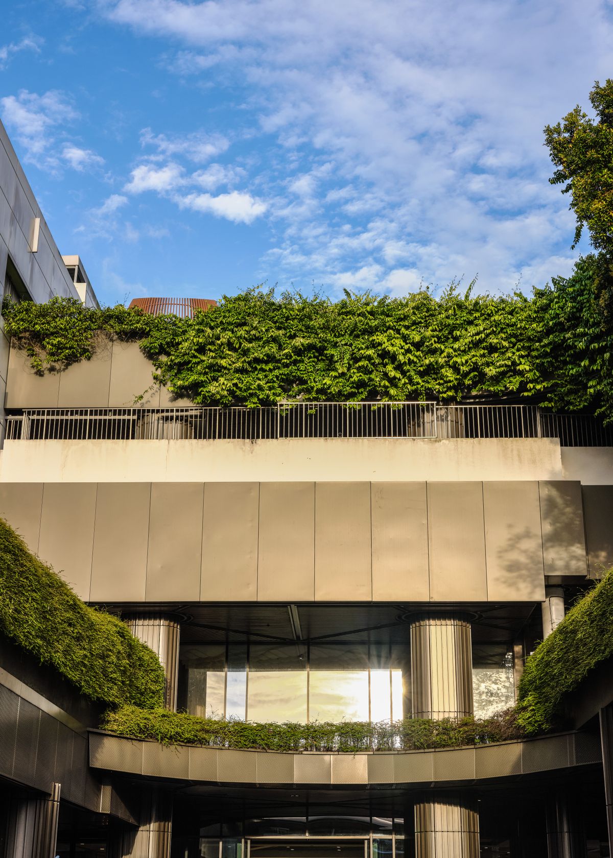 Fachada de prédio moderno com vegetação, exemplo de biofilia na arquitetura