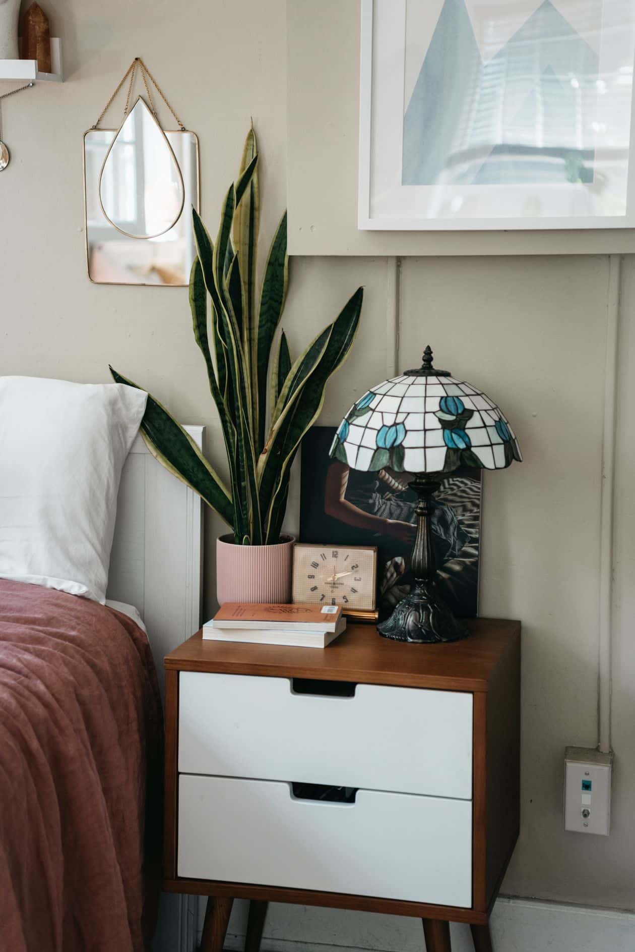 Plantas no quarto para adulto com deficiência visual: Espada-de-São-Jorge em vaso fixo na mesa de cabeceira