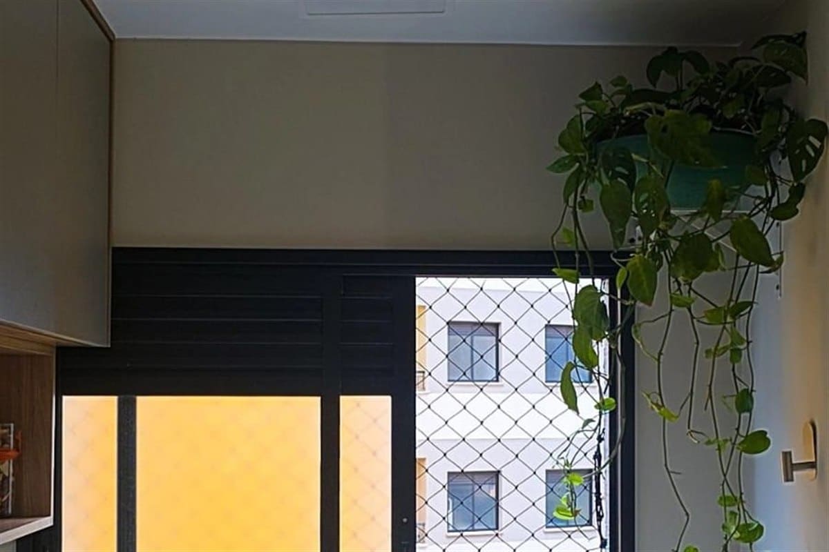 Jiboia pendente em vaso suspenso perto da janela de uma cozinha de apartamento
